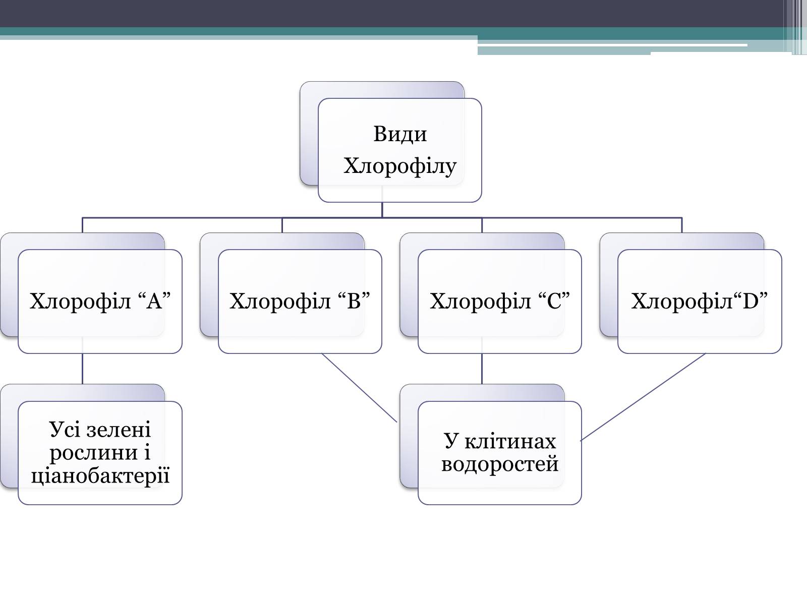 Презентація на тему «Фотосинтез» (варіант 2) - Слайд #4