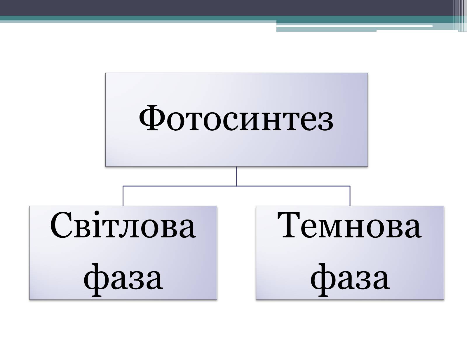 Презентація на тему «Фотосинтез» (варіант 2) - Слайд #6