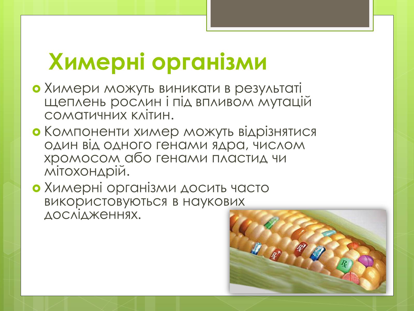 Презентація на тему «Трансгенні організми» (варіант 2) - Слайд #16