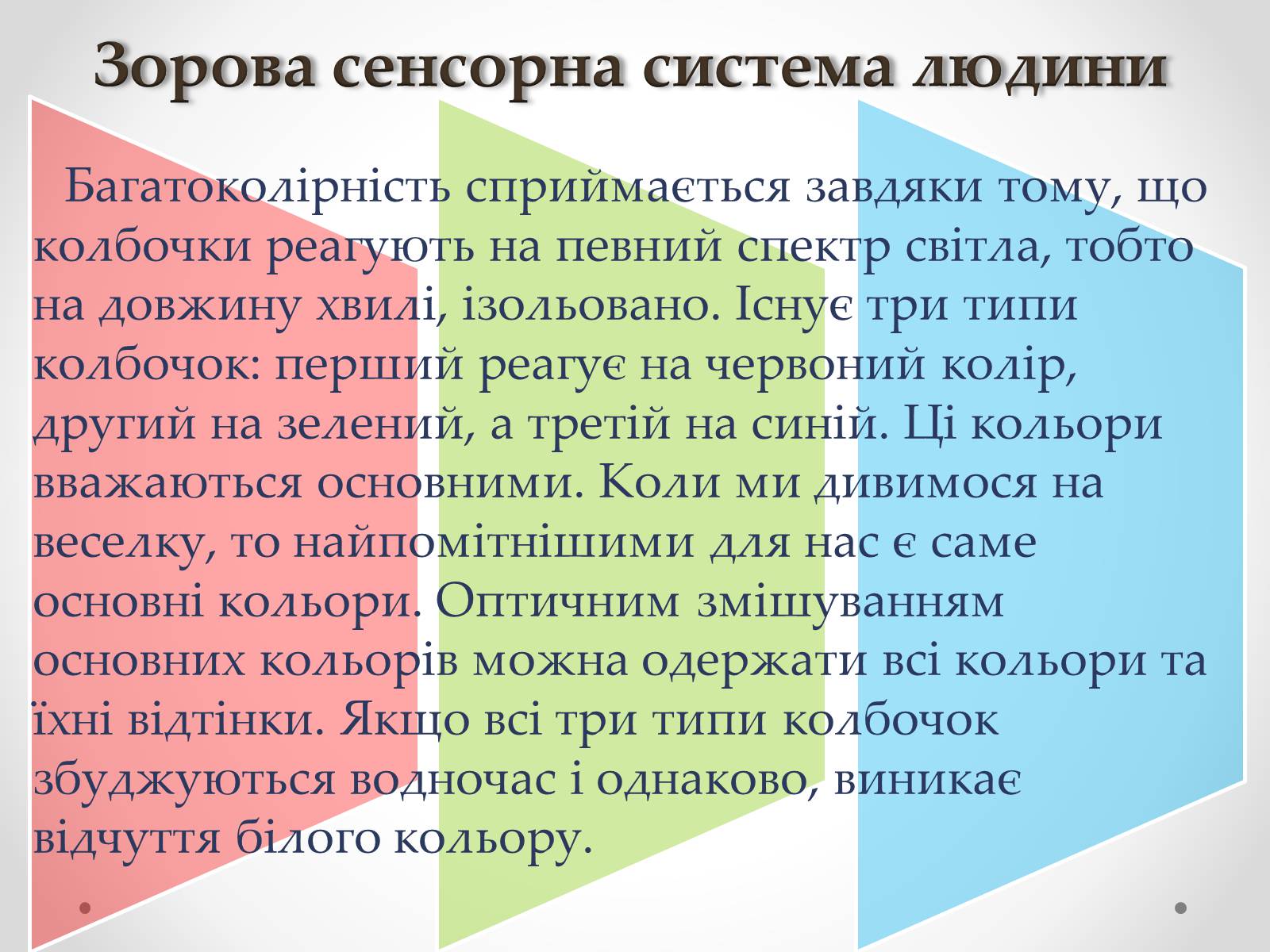 Презентація на тему «Зорова сенсорна система людини» - Слайд #15