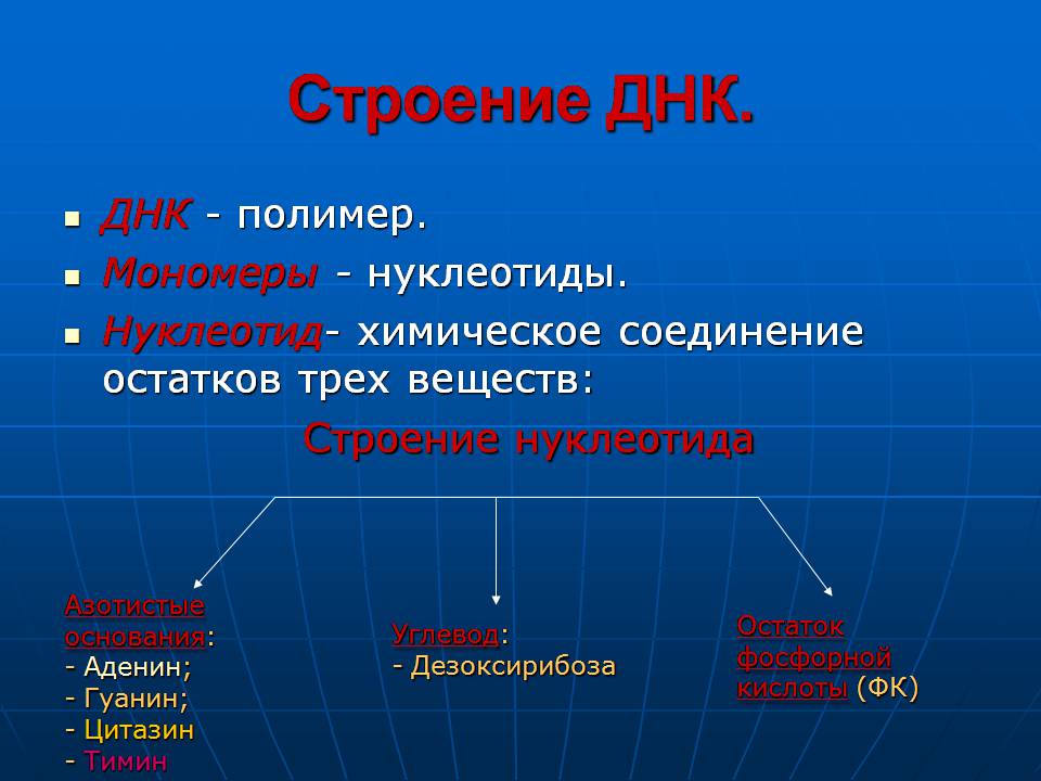 Презентація на тему «ДНК» (варіант 3) - Слайд #12