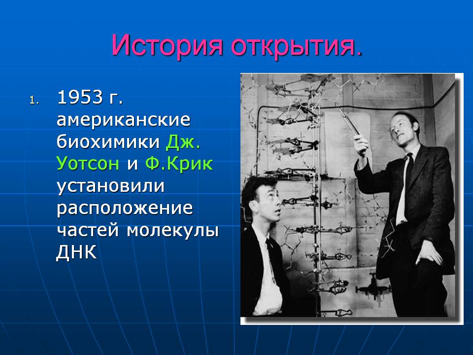 Презентація на тему «ДНК» (варіант 3) - Слайд #8