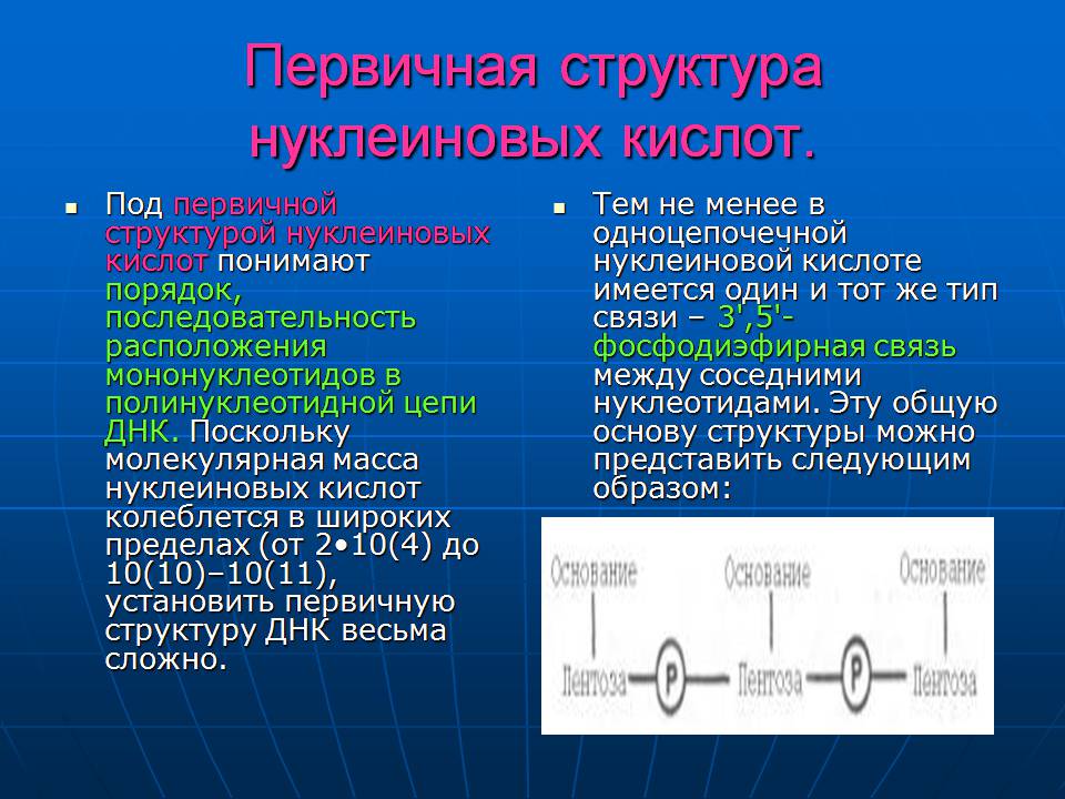 Презентація на тему «ДНК» (варіант 3) - Слайд #9