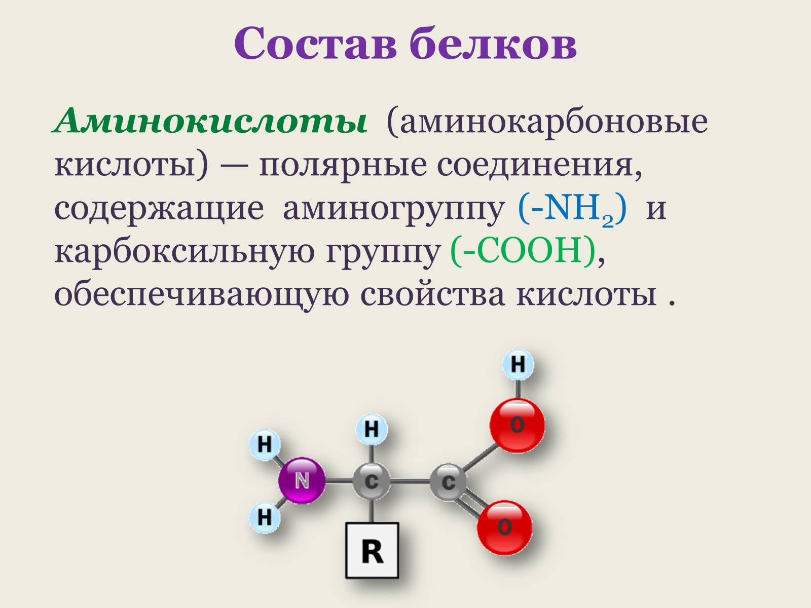 Презентація на тему «Белки: состав и строение» - Слайд #6