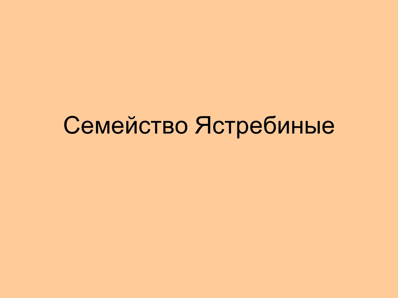 Презентація на тему «Отряд Хищные птицы» - Слайд #10