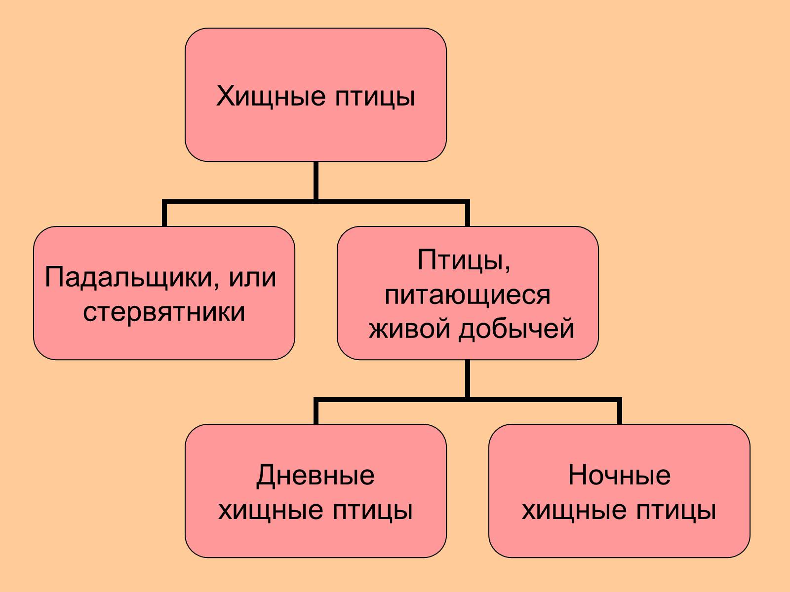 Презентація на тему «Отряд Хищные птицы» - Слайд #2