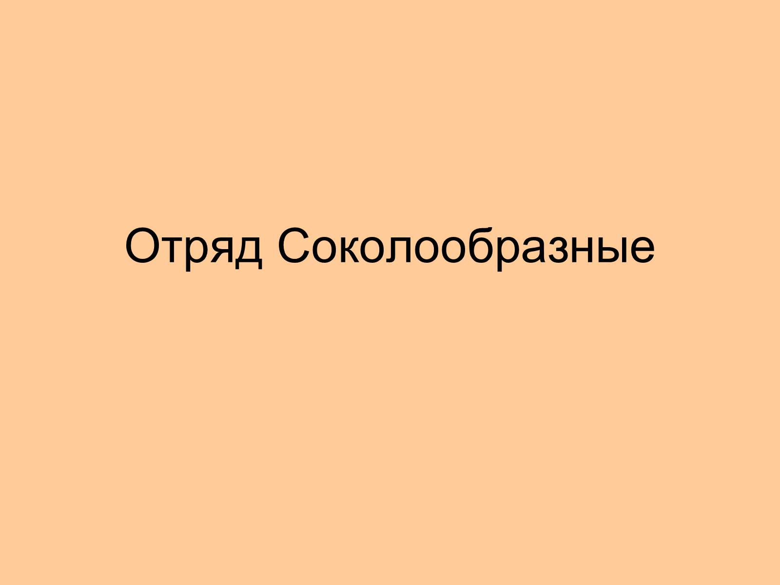 Презентація на тему «Отряд Хищные птицы» - Слайд #4