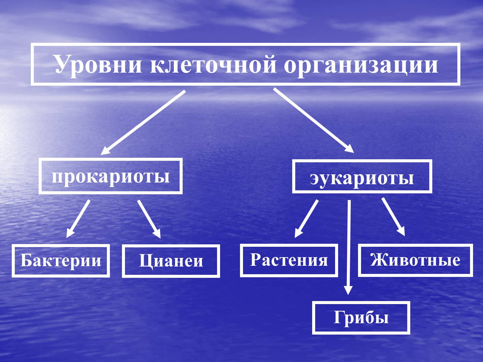 Презентація на тему «Прокариоты» (варіант 2) - Слайд #3