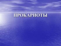 Презентація на тему «Прокариоты» (варіант 2)