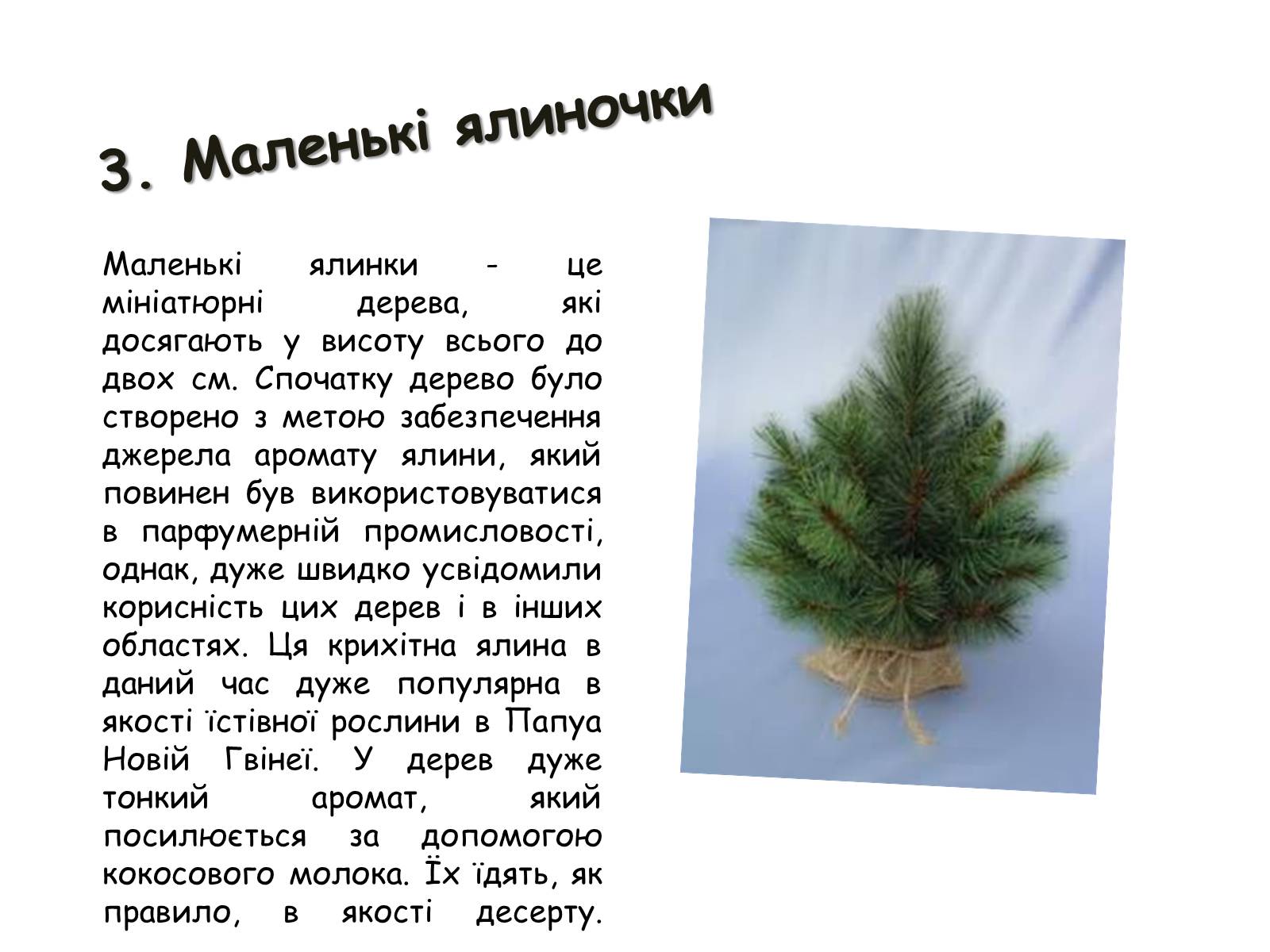 Презентація на тему «Генетично модифіковані організми» (варіант 2) - Слайд #12