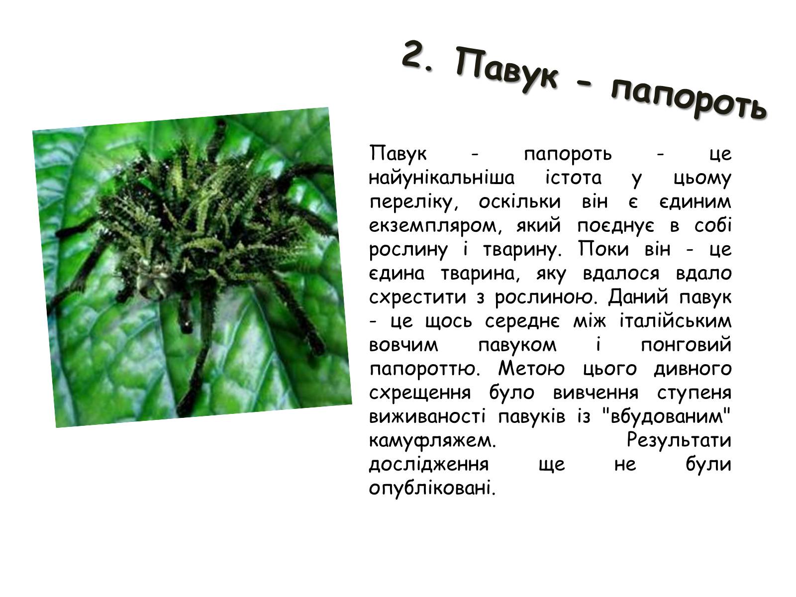 Презентація на тему «Генетично модифіковані організми» (варіант 2) - Слайд #13