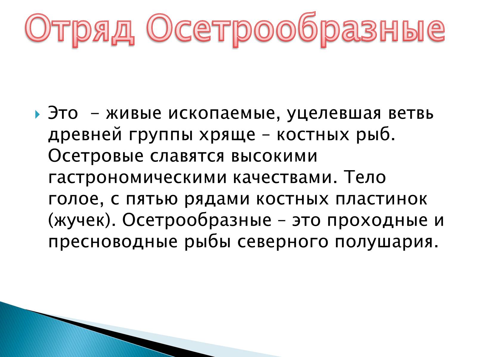 Презентація на тему «Костные рыбы» - Слайд #5