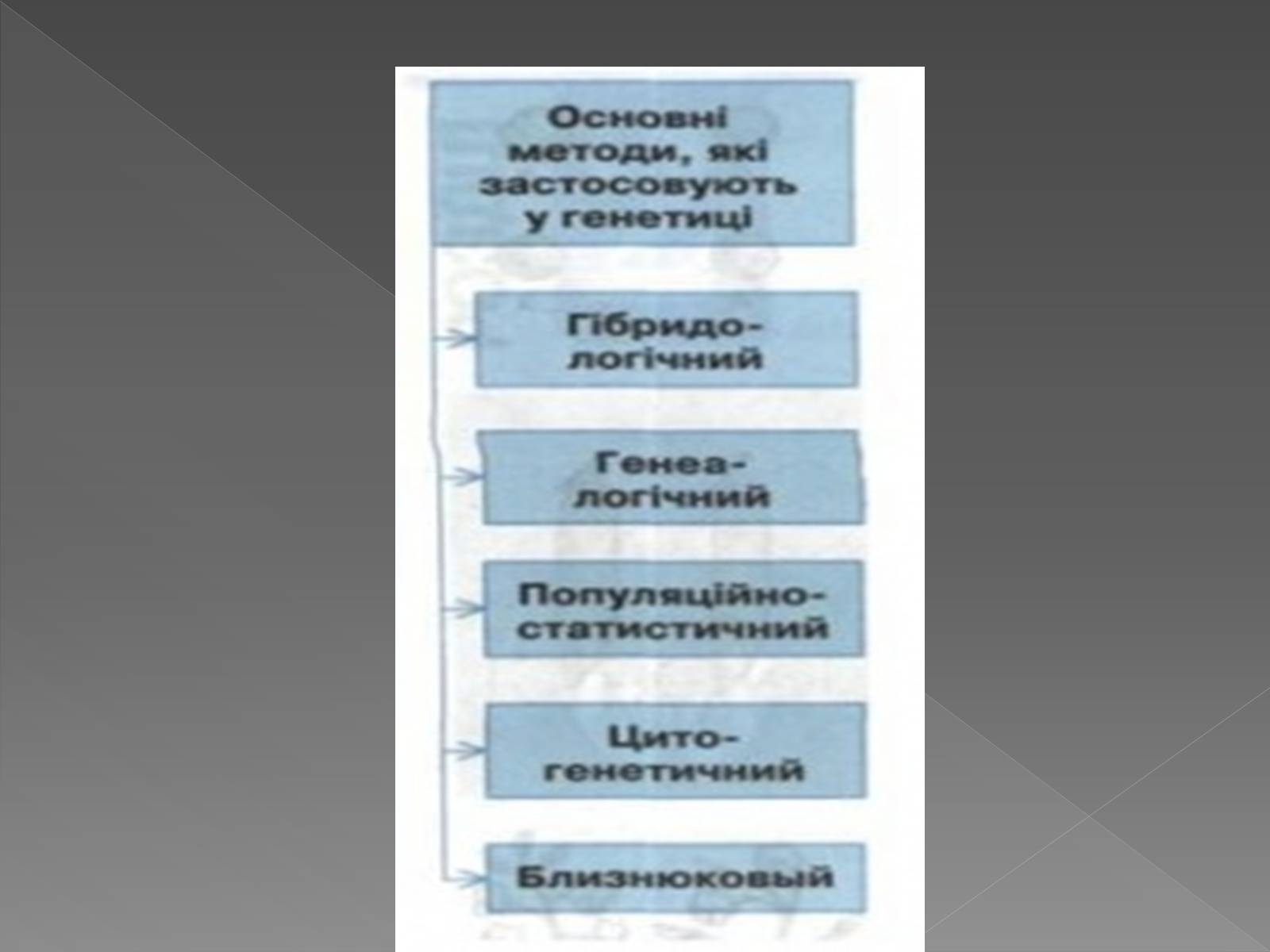 Презентація на тему «Методи генетичних досліджень» (варіант 3) - Слайд #2