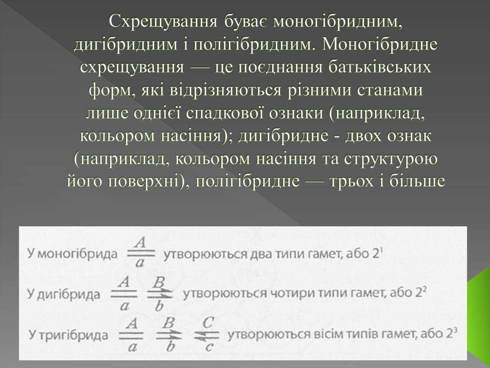 Презентація на тему «Методи генетичних досліджень» (варіант 3) - Слайд #4