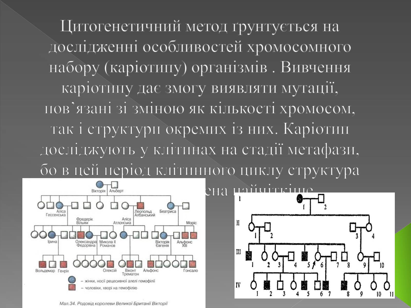 Презентація на тему «Методи генетичних досліджень» (варіант 3) - Слайд #6