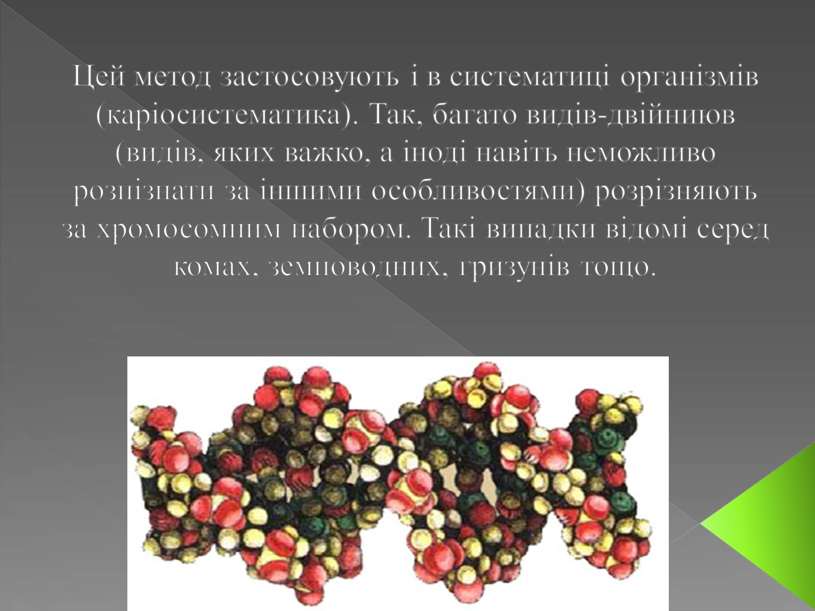 Презентація на тему «Методи генетичних досліджень» (варіант 3) - Слайд #7