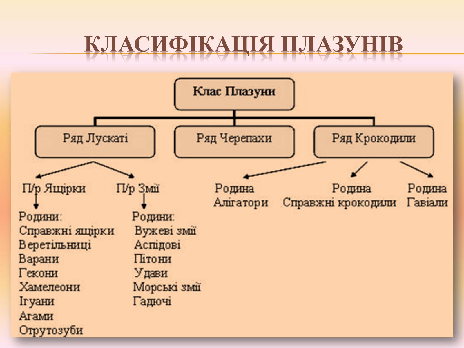 Презентація на тему «Різноманітність і охорона плазунів» - Слайд #4