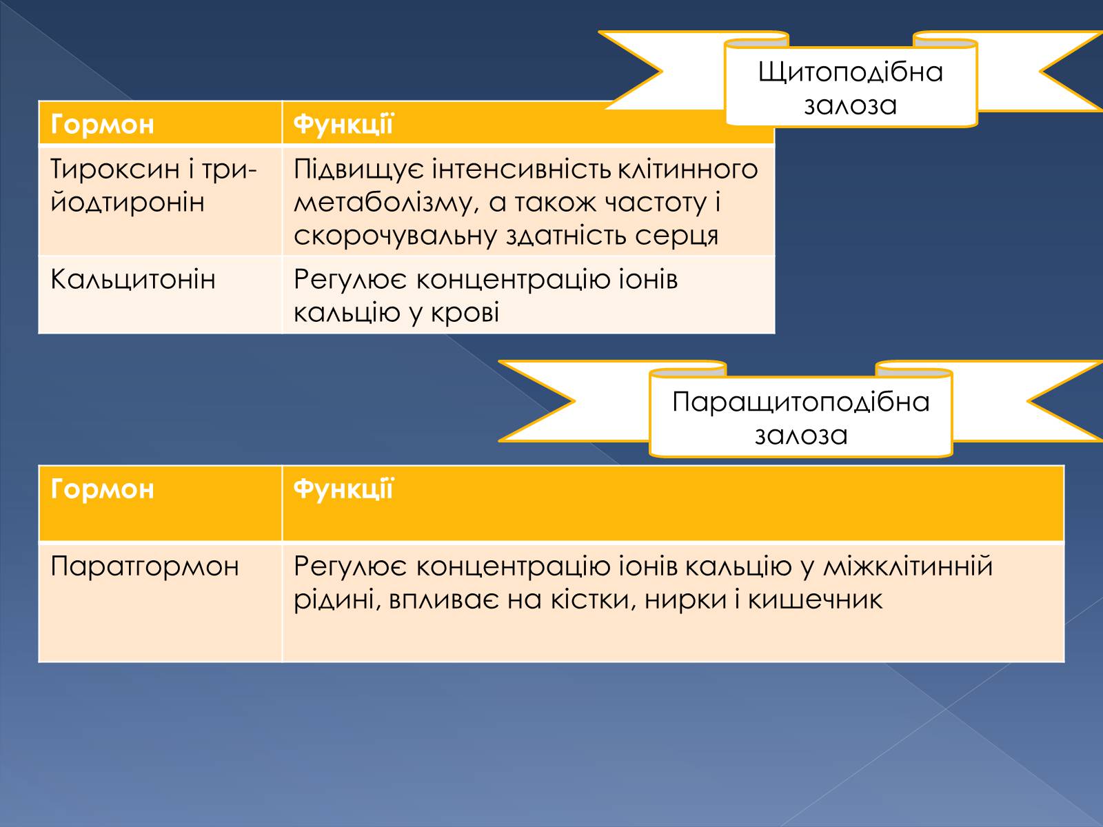 Презентація на тему «Гуморальна регуляція» - Слайд #7