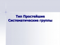 Презентація на тему «Тип Простейшие. Систематические группы»