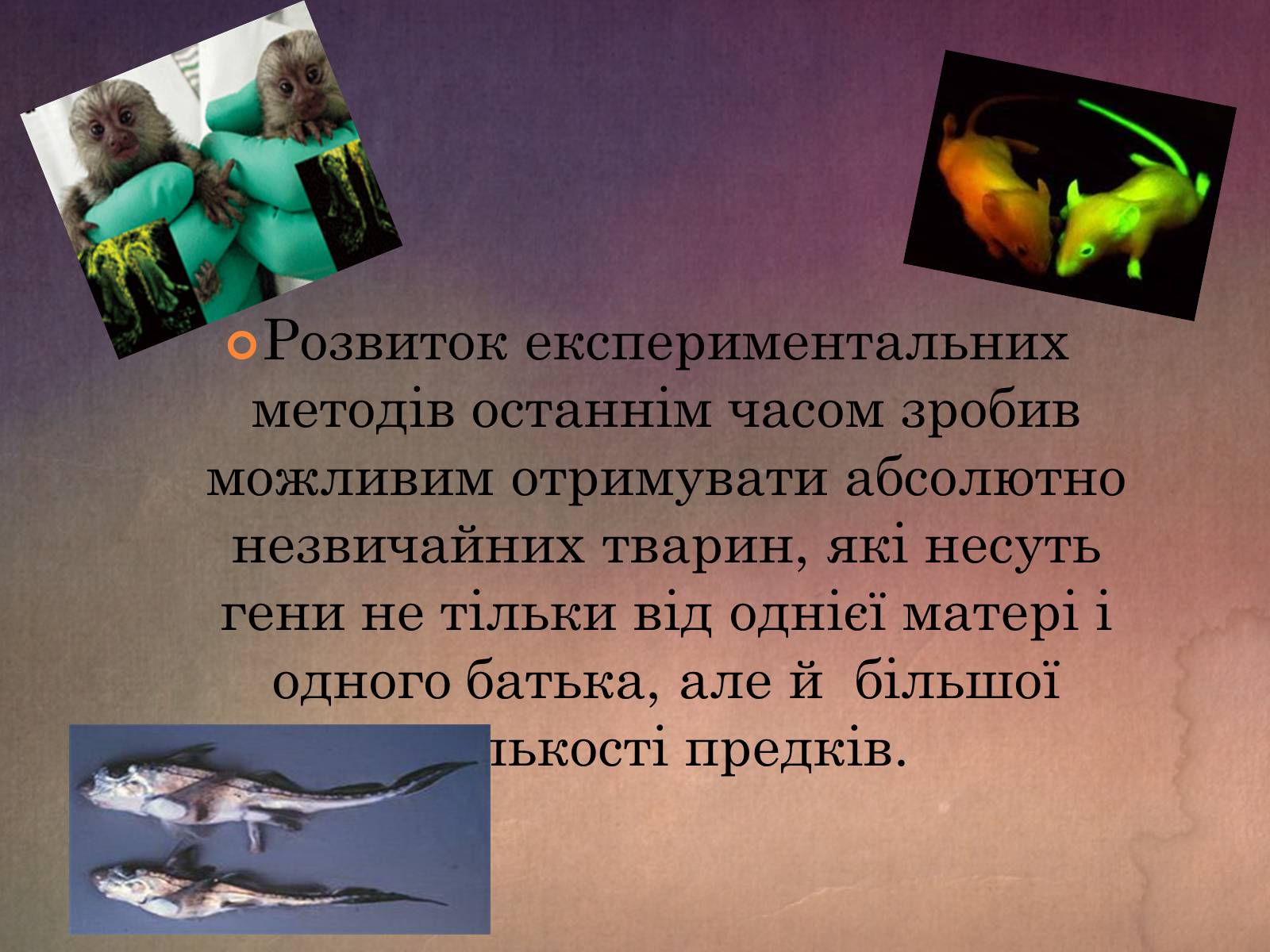 Презентація на тему «Химерні організми» - Слайд #2