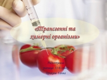 Презентація на тему «Трансгенні та химерні організми» (варіант 1)