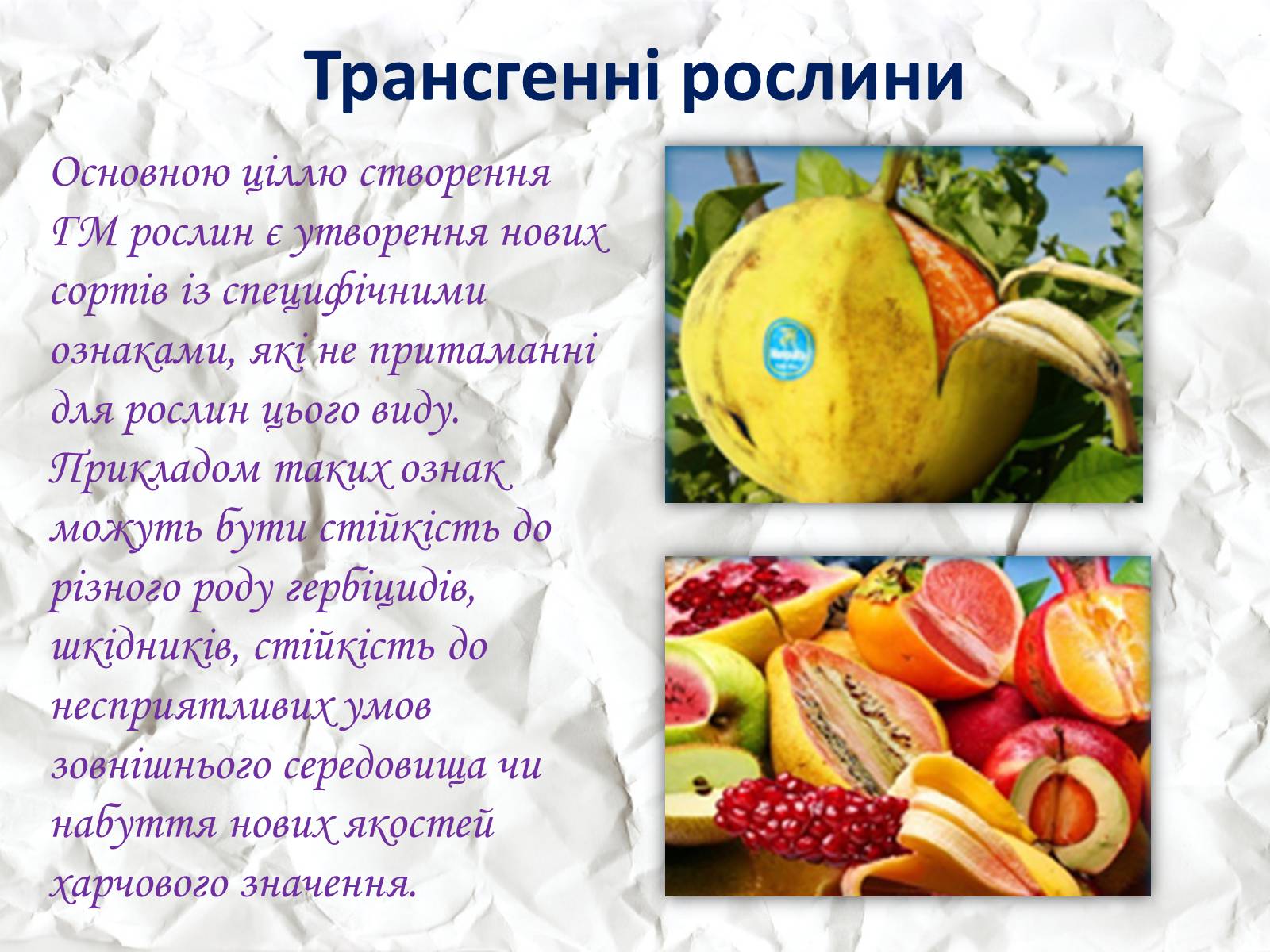 Презентація на тему «Трансгенні та химерні організми» (варіант 1) - Слайд #10