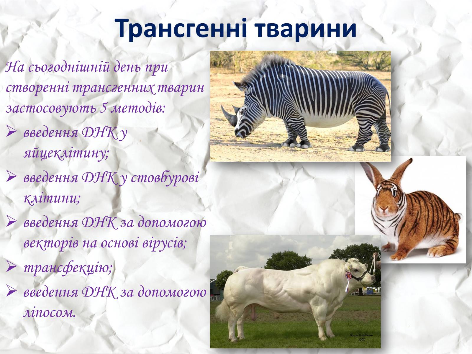 Презентація на тему «Трансгенні та химерні організми» (варіант 1) - Слайд #9