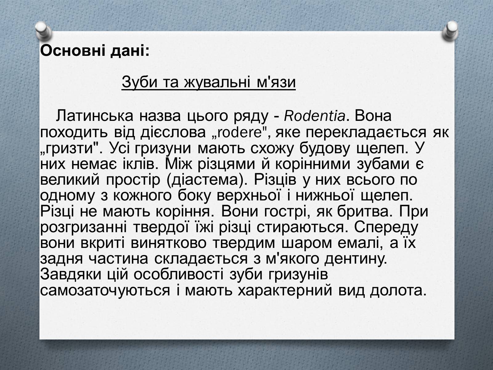 Презентація на тему «Ряд Гризуни» (варіант 1) - Слайд #5