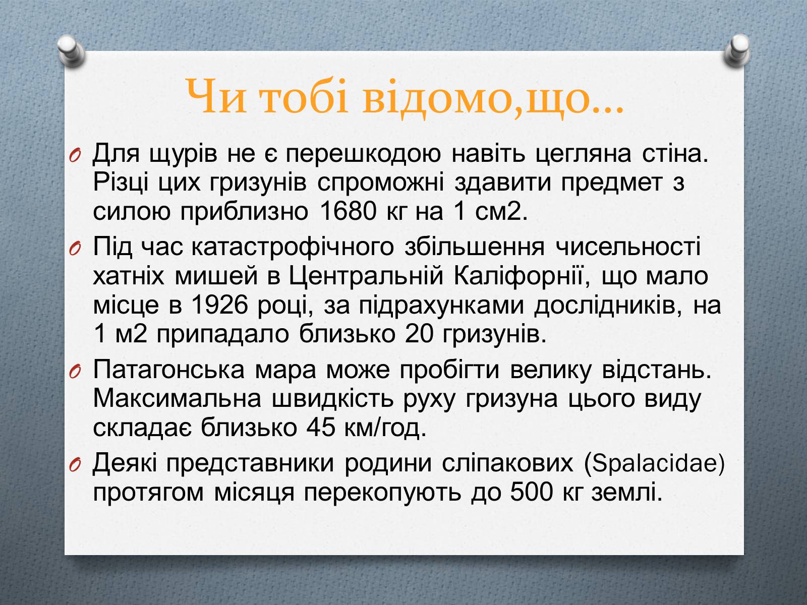 Презентація на тему «Ряд Гризуни» (варіант 1) - Слайд #9