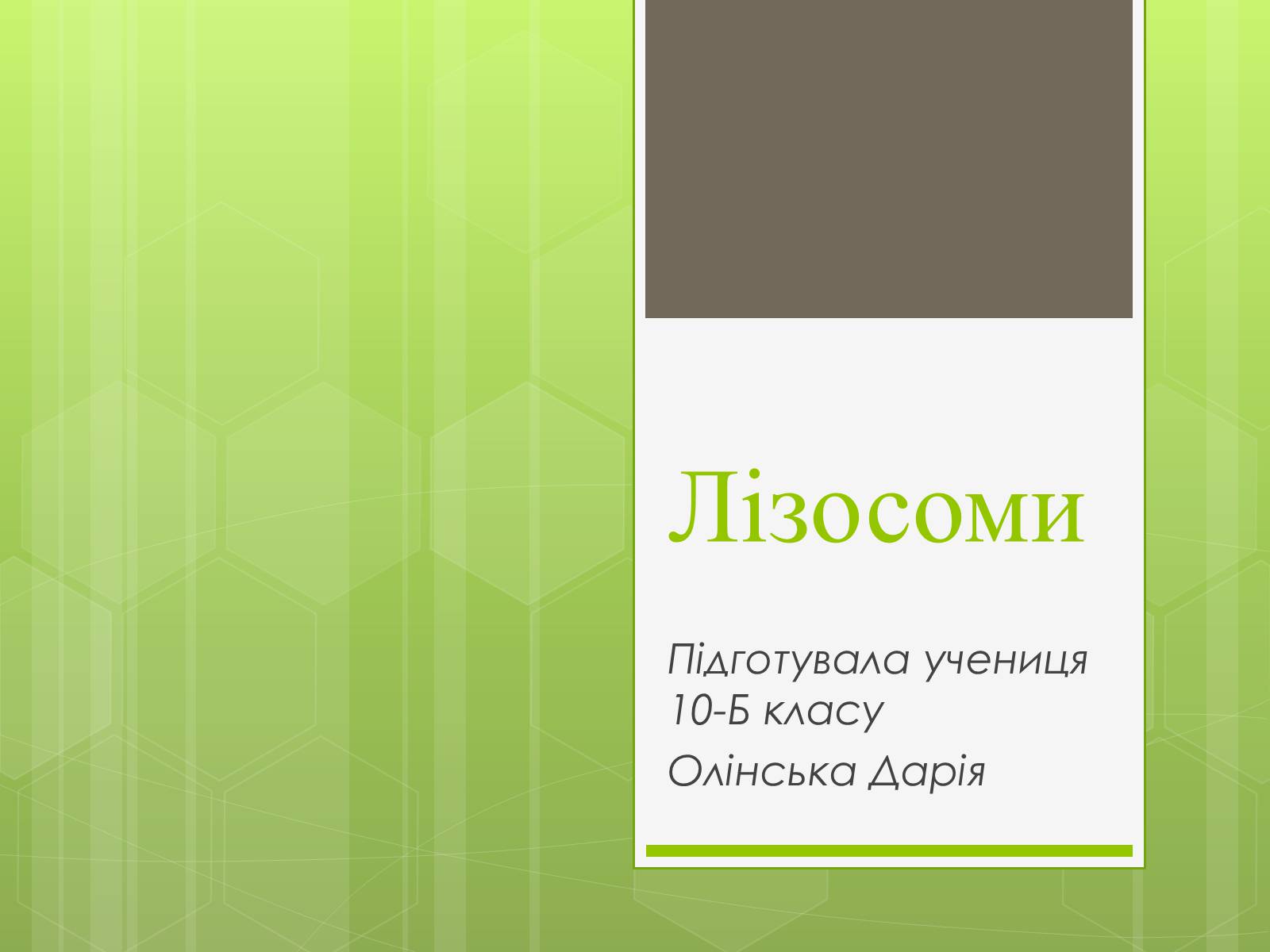 Презентація на тему «Лізосоми» (варіант 1) - Слайд #1