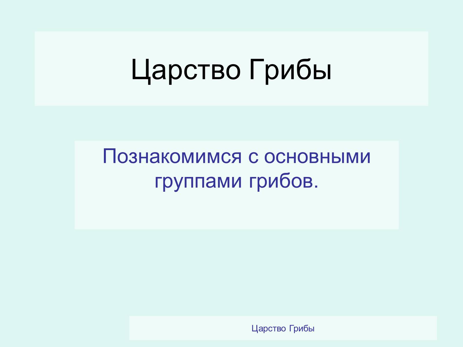 Презентація на тему «Царство Грибы» (варіант 2) - Слайд #2