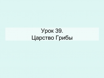 Презентація на тему «Царство Грибы» (варіант 2)