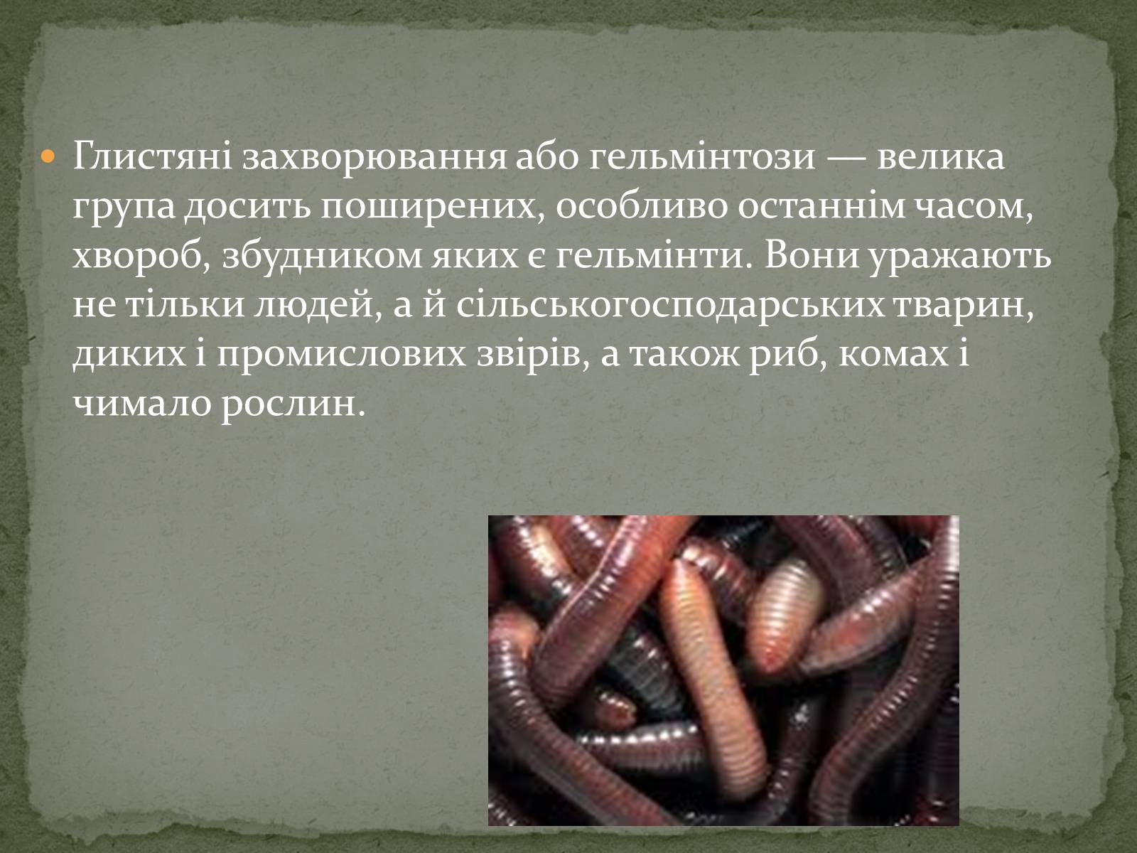 Презентація на тему «Глистяні захворювання» - Слайд #2