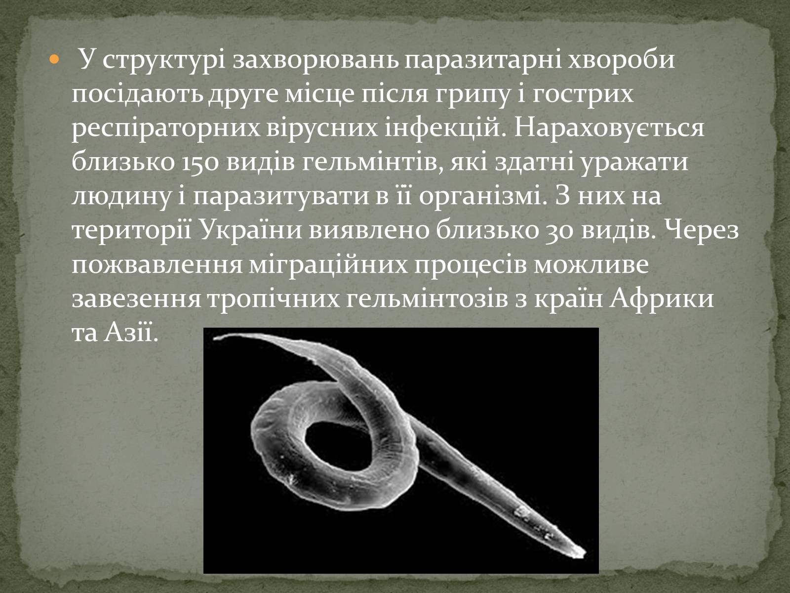 Презентація на тему «Глистяні захворювання» - Слайд #3