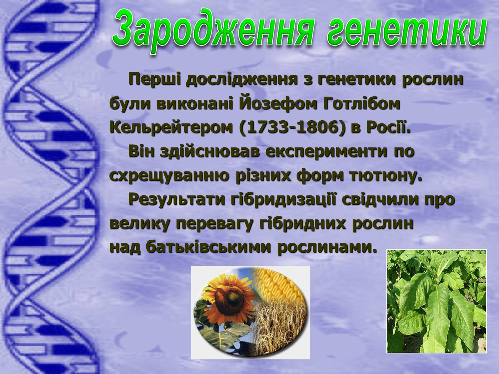 Презентація на тему «Історія розвитку генетики» - Слайд #3