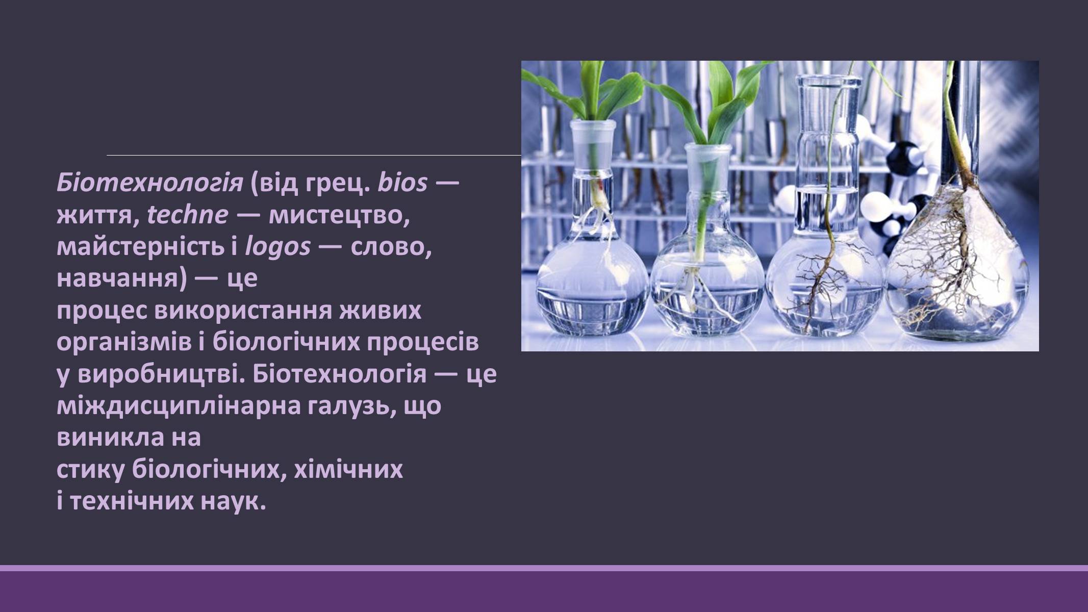 Презентація на тему «Основні напрямки сучасної біотехнології» (варіант 4) - Слайд #2