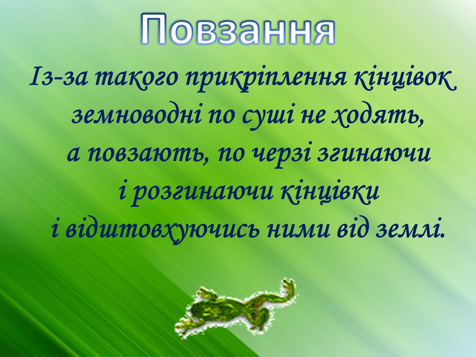 Презентація на тему «Зовнішня будова земноводних» - Слайд #15