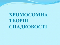 Презентація на тему «Хромосомна теорія спадковості» (варіант 2)