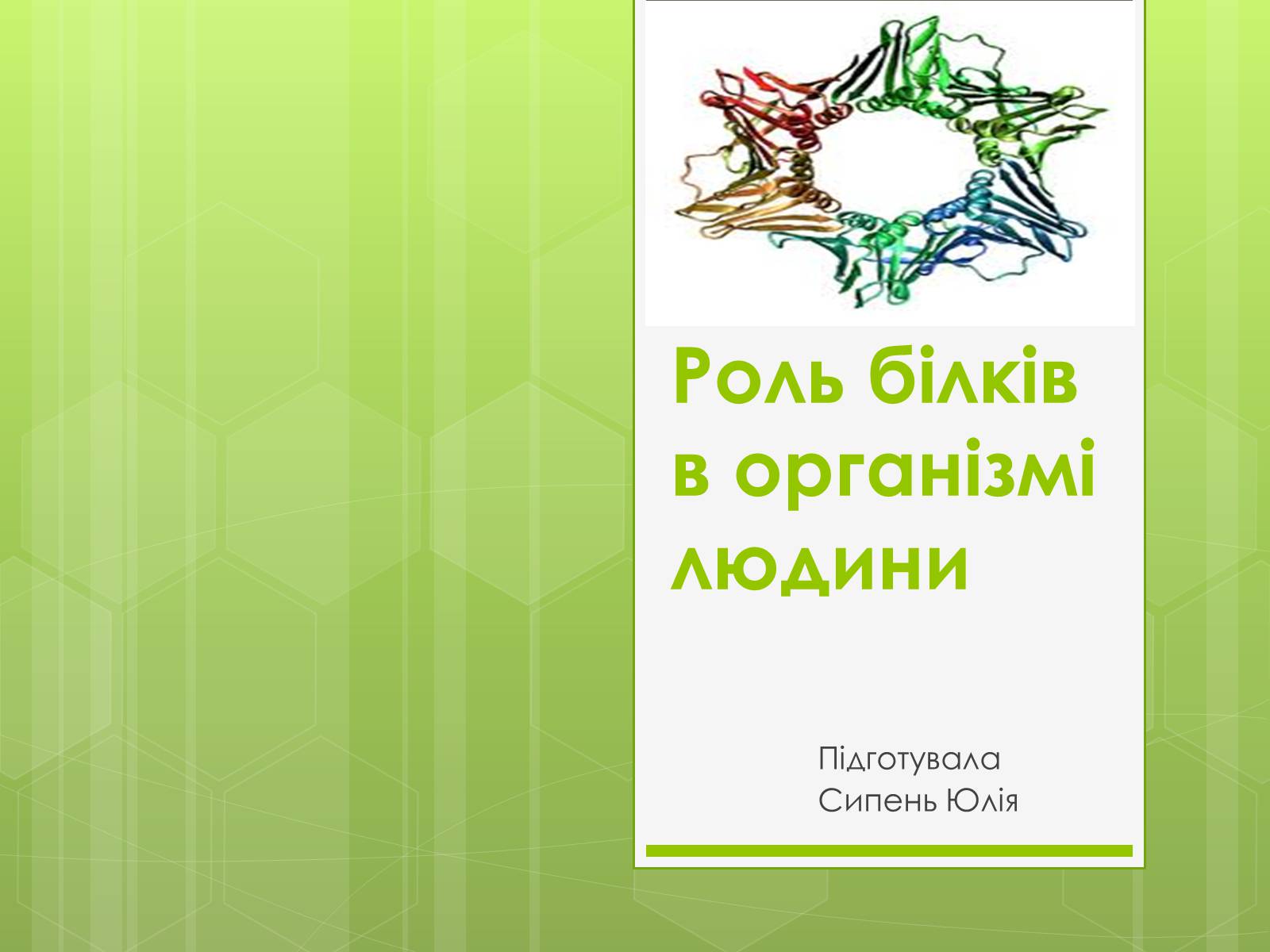 Презентація на тему «Роль білків в організмі людини» - Слайд #1