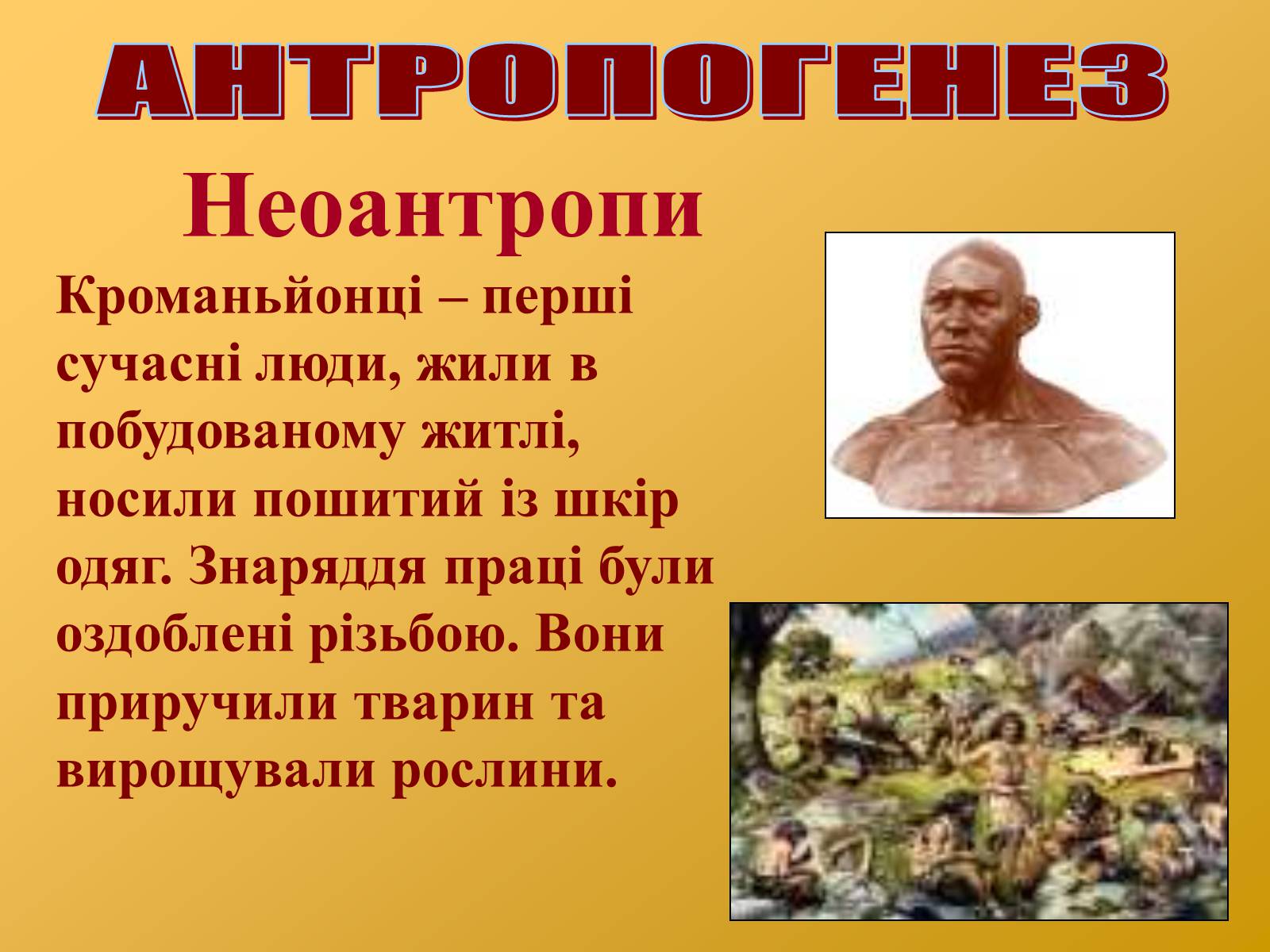 Презентація на тему «Антропогенез» (варіант 2) - Слайд #10