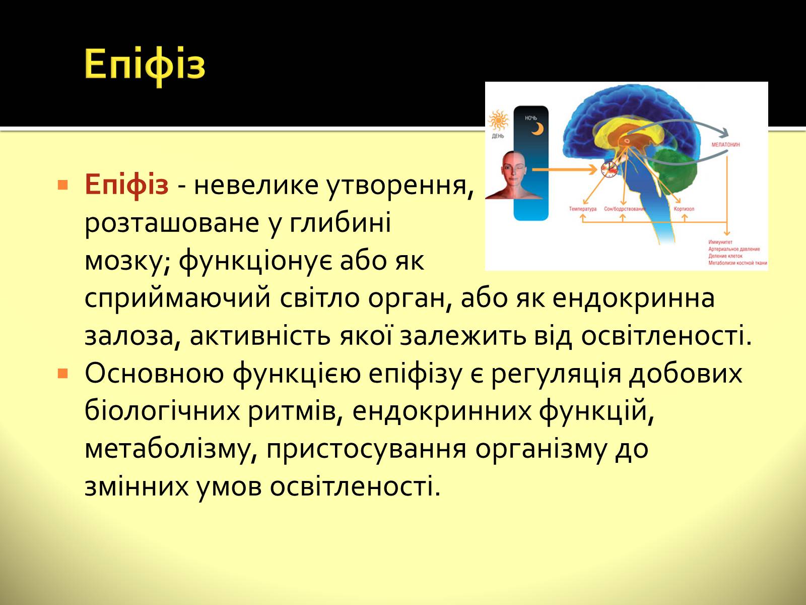 Презентація на тему «Ендокринні залози» - Слайд #4