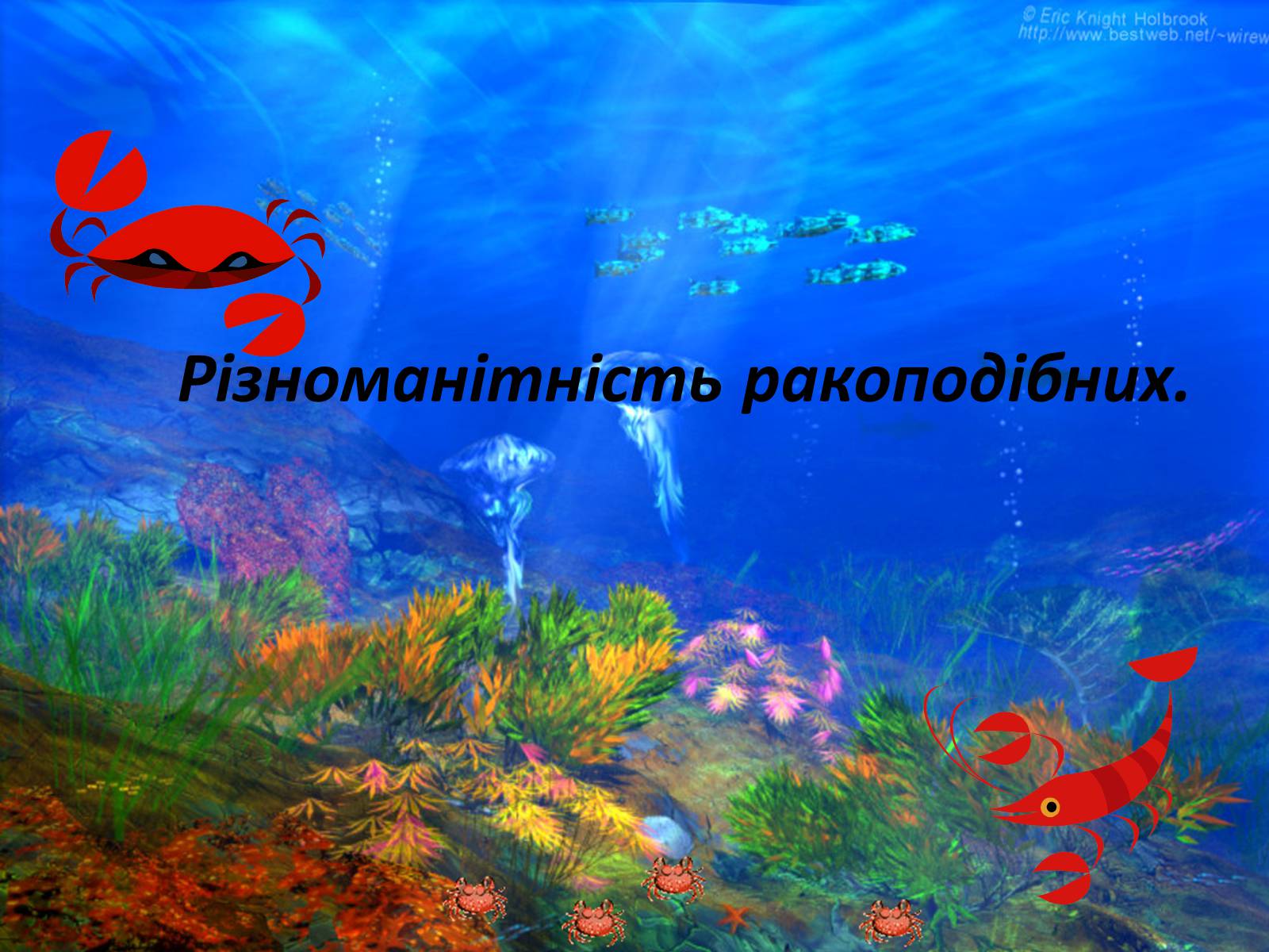 Презентація на тему «Різноманітність ракоподібних» (варіант 2) - Слайд #1