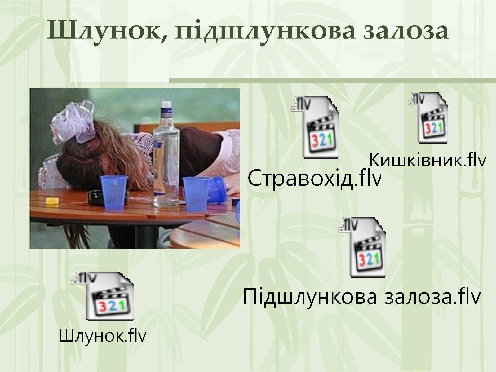 Презентація на тему «Як впливає на репродуктивне здоров&#8217;я алкоголь» - Слайд #13