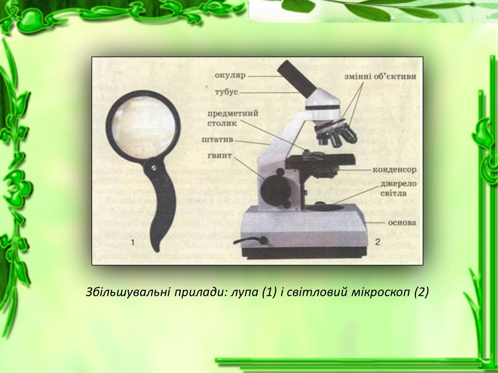 Презентація на тему «Дослідження біологічних об&#8217;єктів» - Слайд #10