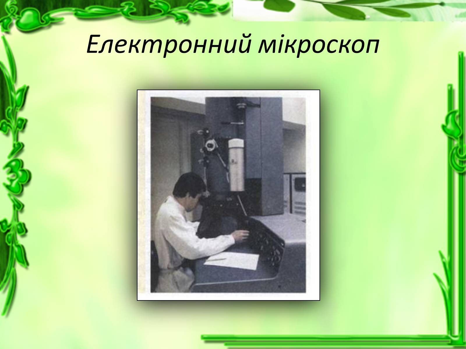 Презентація на тему «Дослідження біологічних об&#8217;єктів» - Слайд #17