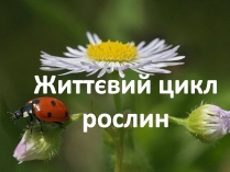 Презентація на тему «Життєвий цикл рослин» (варіант 2)