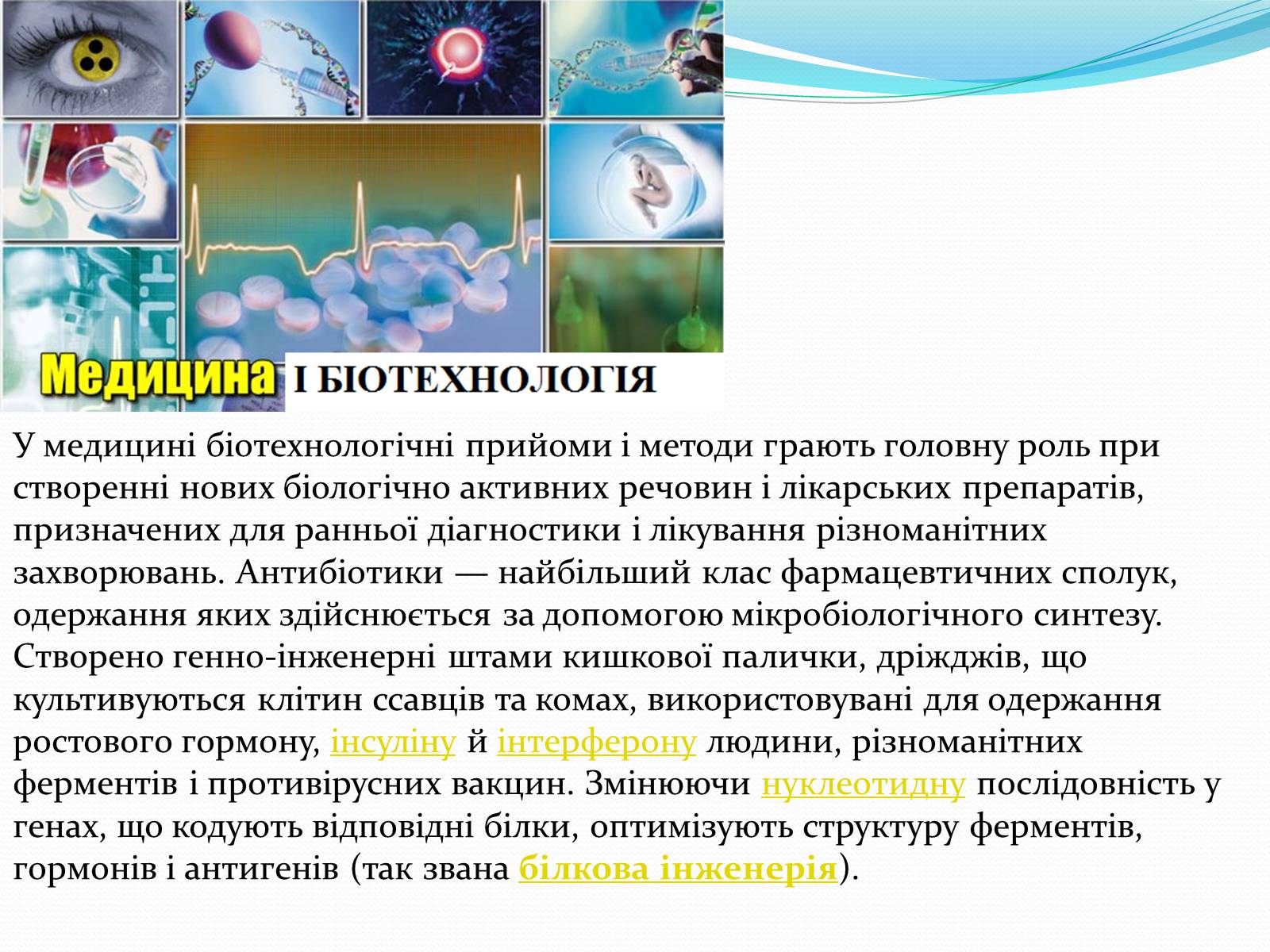 Презентація на тему «Основні напрямки сучасної біотехнології» (варіант 2) - Слайд #13