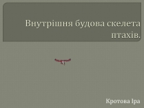 Презентація на тему «Внутрішня будова скелета птахів»