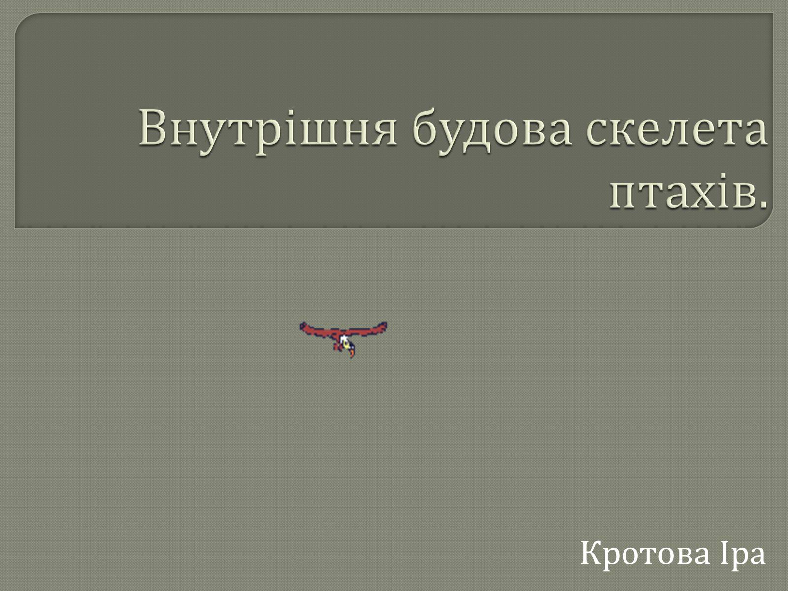 Презентація на тему «Внутрішня будова скелета птахів» - Слайд #1