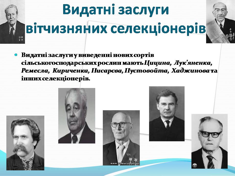 Презентація на тему «Генетичні основи селекції рослин» (варіант 3) - Слайд #8